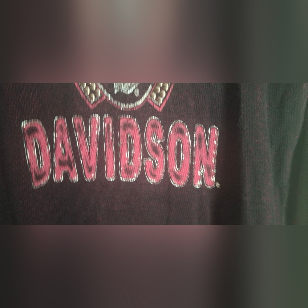 Harley-Davidson Women's Dark Red Graphic Long Sleeve Tee Biker Grunge XL - Picture 9 of 14